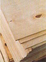 Bērza saplāksnis WG/WG, EXT, izmērs 15x2500 x 1250mm